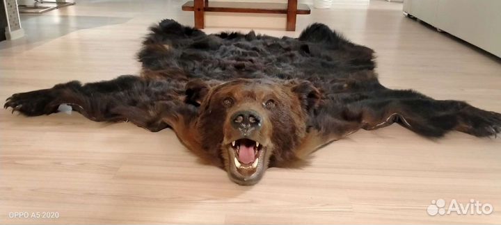 Шкура медведя имитация