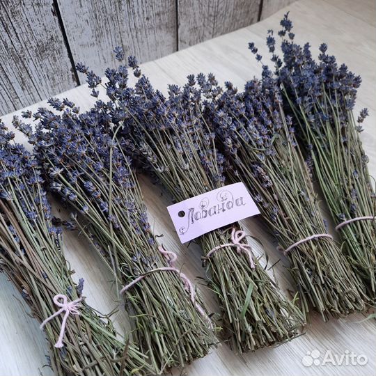 Букет из лаванды