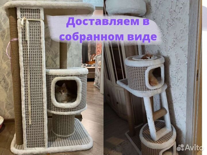 Когтеточка домик для кошки