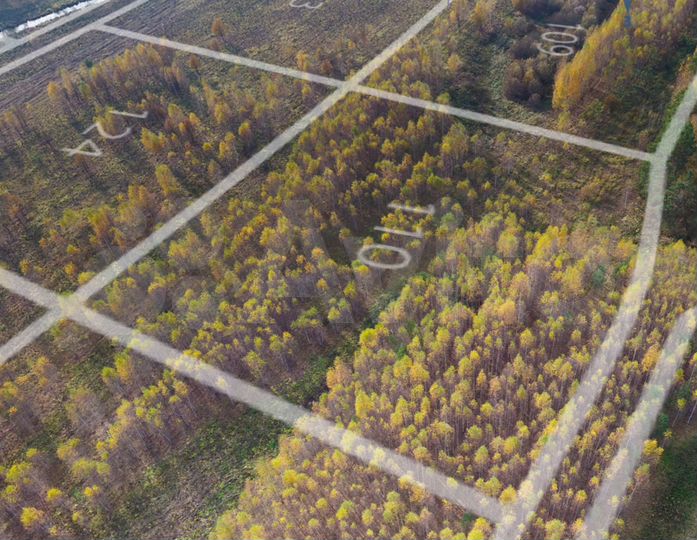 Участок 1,06 га (СНТ, ДНП)