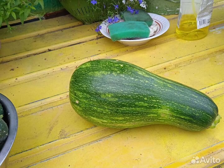 Огурцы помидоры домашние