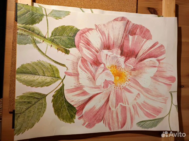 Набор постеров IKEA с пионами