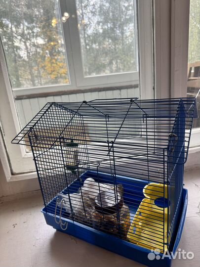 Клетка для грызунов бу