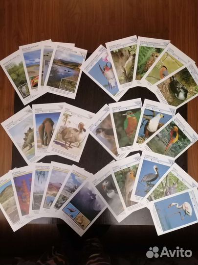 Открытки и карточки про животных 71 шт цена за все
