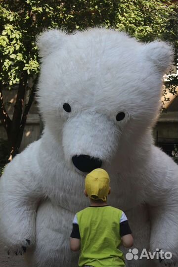 Поздравление от медведя-гиганта