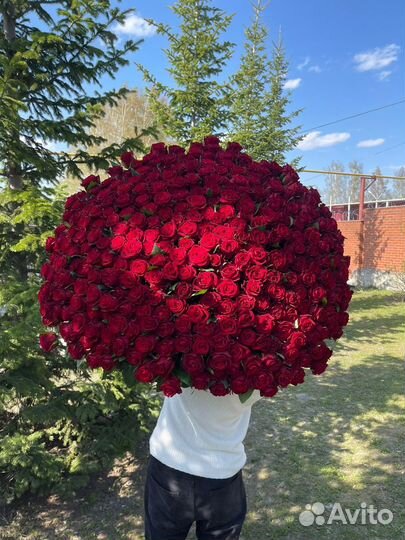 Букеты гиганты из 101-1001 розы. Доставка