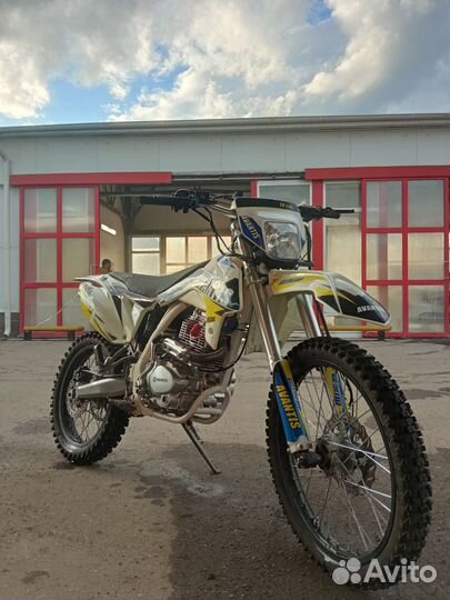 Эндуро Avantis fx 250 lux