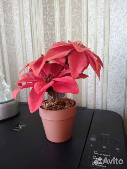 Декор новогодний. Пуансеттия искусственная