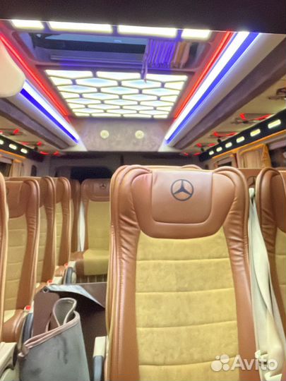 Аренда автобуса на 7, 19, 26, 51 мест