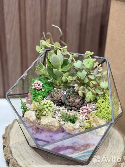 Флорариум 