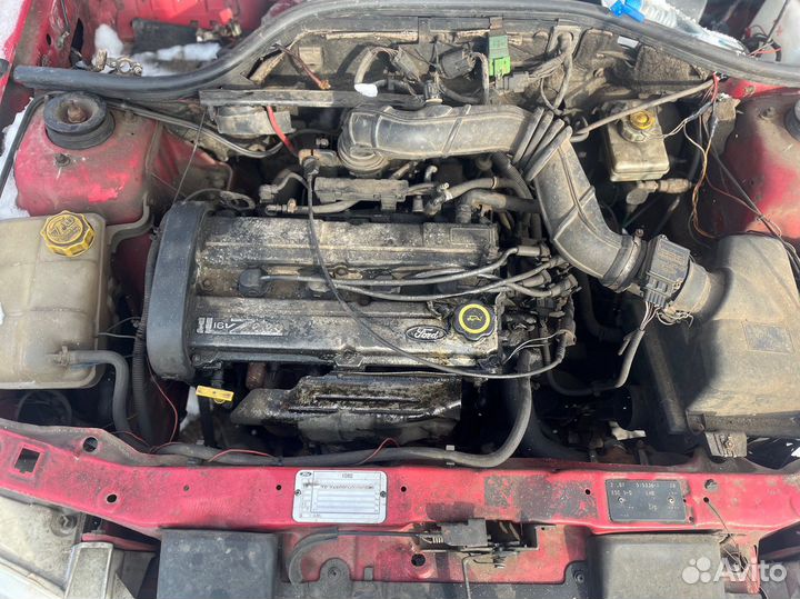 Двигатель ford escort 1.6 L1E 16v zetec