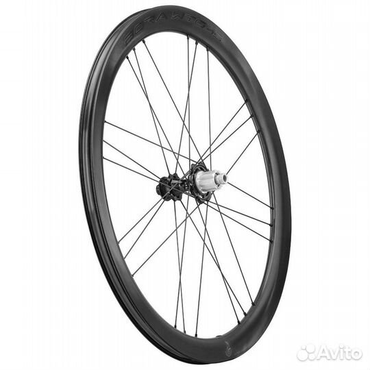 Campagnolo Bora WTO 45 C23 DB Wheelset