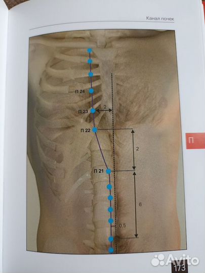 Карманный атлас акупунктуры
