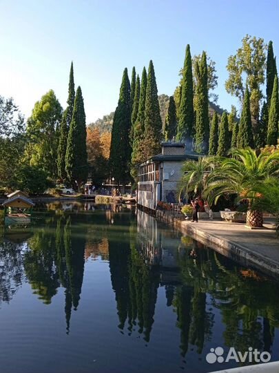 Тур в Абхазию из Адлера / Гагра / Озеро Рица