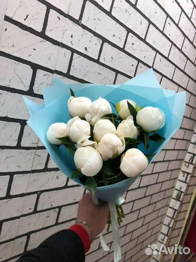 Пионы белые с доставкой Под заказ