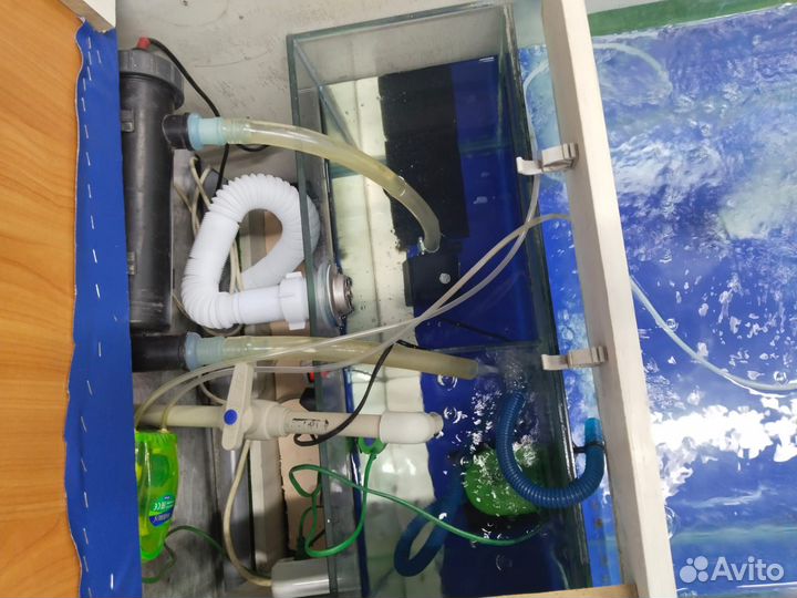 Аквариум для рыбного пилинга