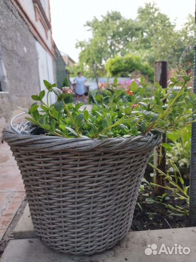 Корзина плетеная из ротанга