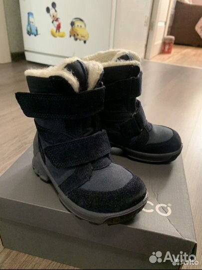 Ботинки ecco 23 деми