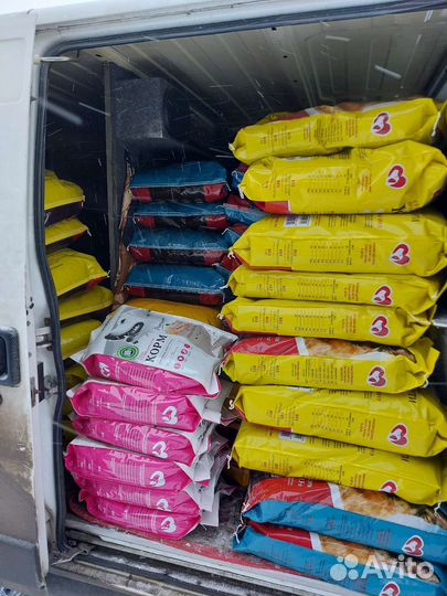 Корм для собак