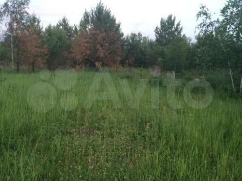 Участок 6 сот. (СНТ, ДНП)