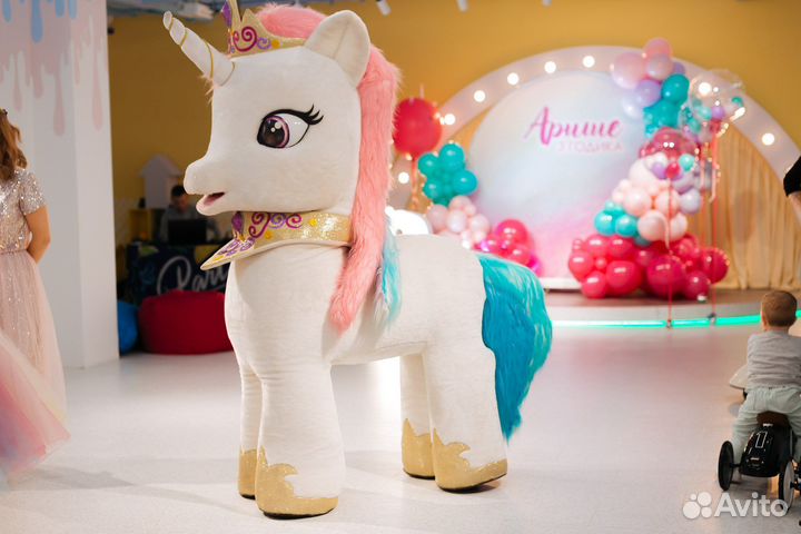 Аниматоры на день рождения