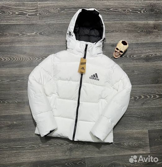 Зимние Куртки Adidas