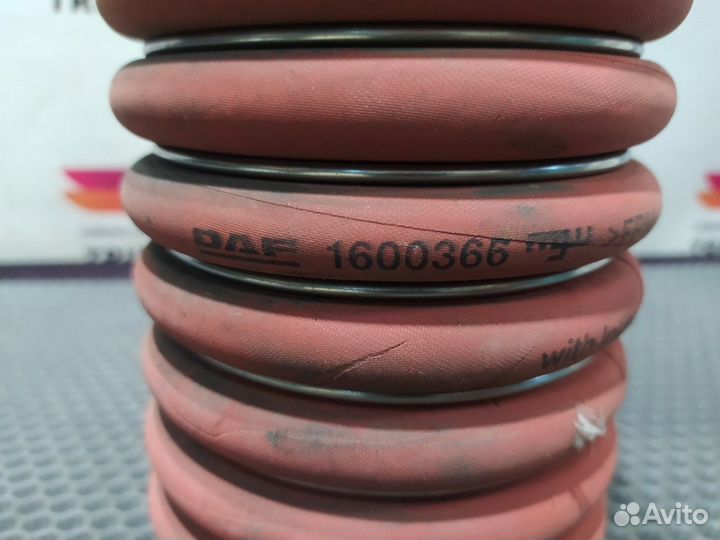 Патрубок интеркулера Daf CF, Daf XF105