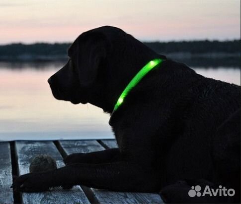 Светоотражатель для собак и кошек