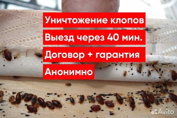 Уничтожение клопов, Уничтожение тараканов,Грызунов