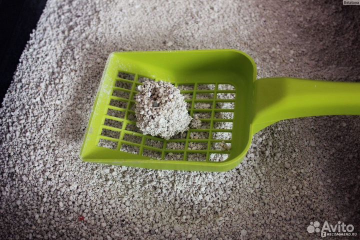 Наполнитель в кошачий туалет