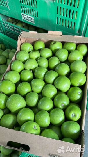 Яблоки 1-й сорт