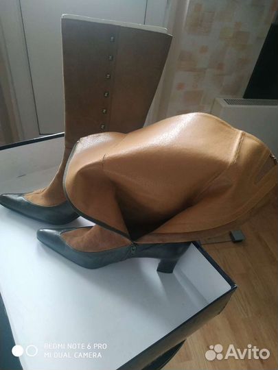 Сапоги осень весна женские размер