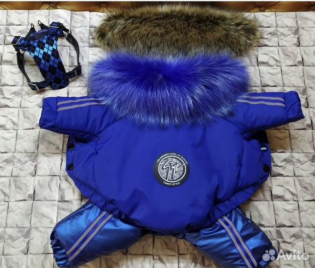 Одежда для маленькой собачки