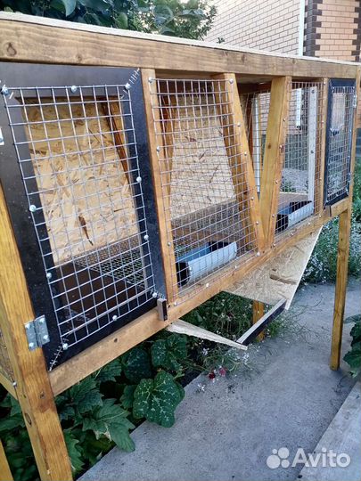 Клетка новая + кролики