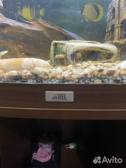 Аквариум с тумбой juwel 180 литров