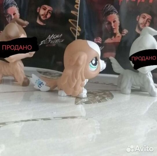 Lps спаниель 3D