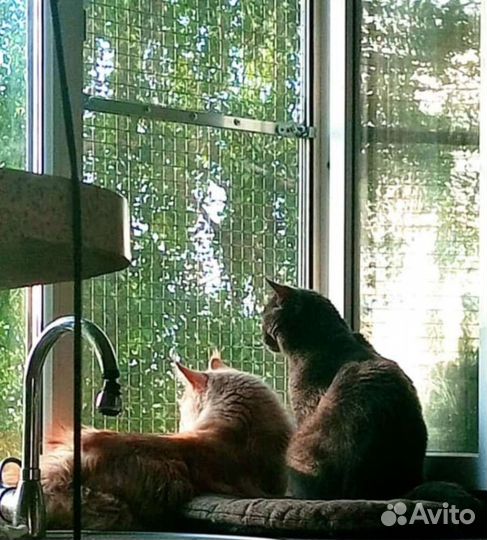 Сетка усиленная антикошка на окна 