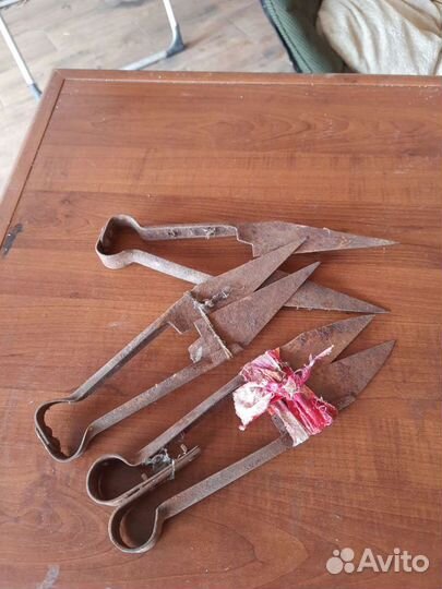 Ножницы для стрижки овец