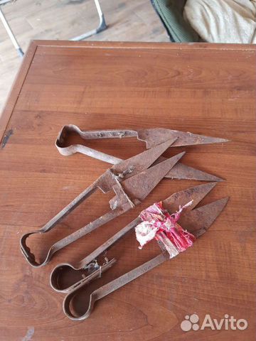 Ножницы для стрижки овец