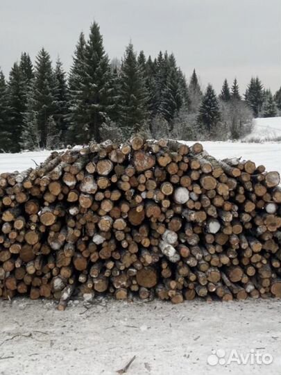 Продам можжевельник