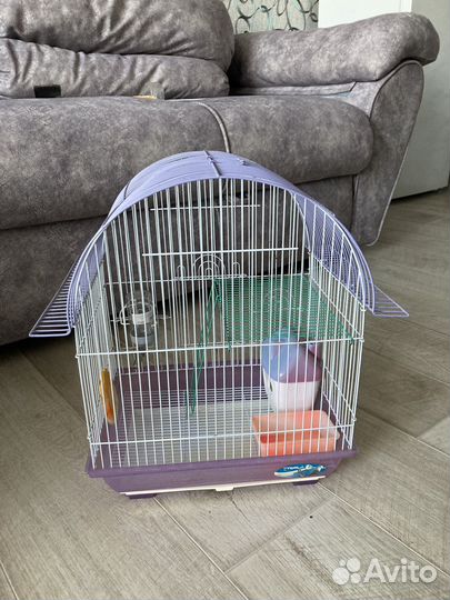 Клетка для хомяка или попугая