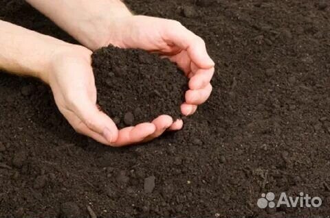 Чернозем Рязанский валом от 1m3