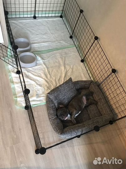 Барьер для животных