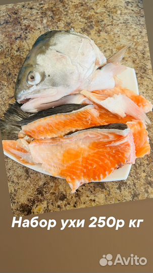 Стейки из семги и форели premium