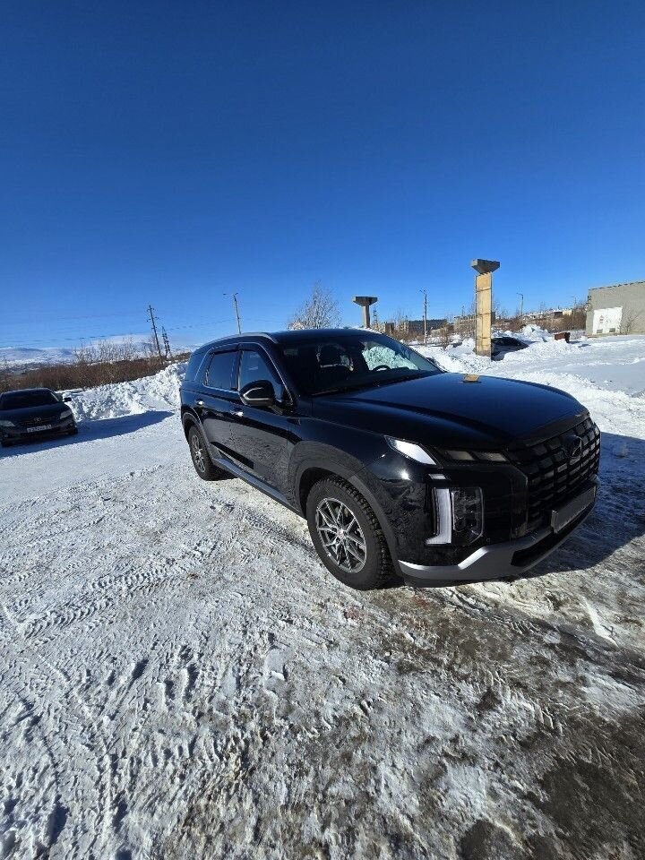 Hyundai Palisade: фото из отзыва