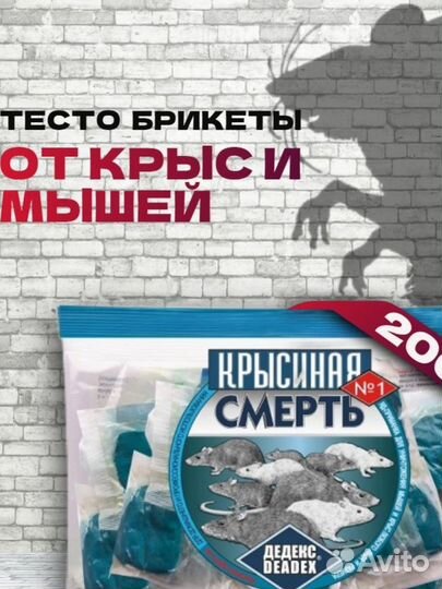 Мыши и крысы