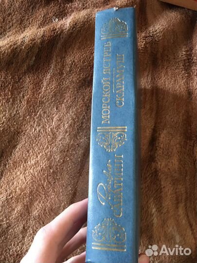 Рафаэль Сабатини. Морской ястреб