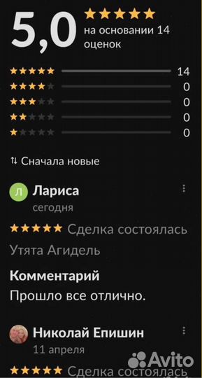 Цыплята, несушки