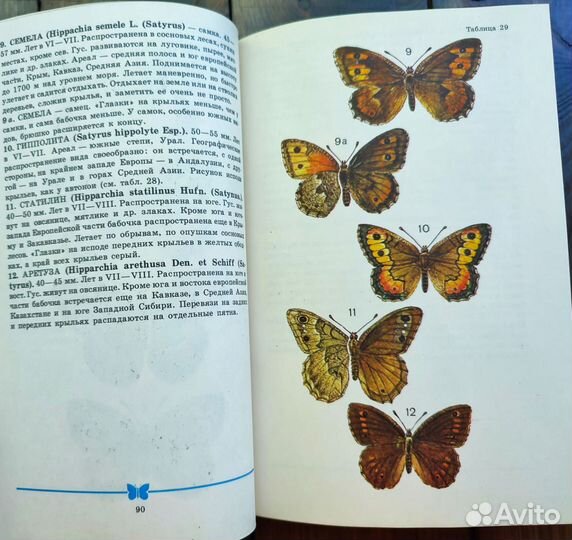 Книга атлас определитель бабочек