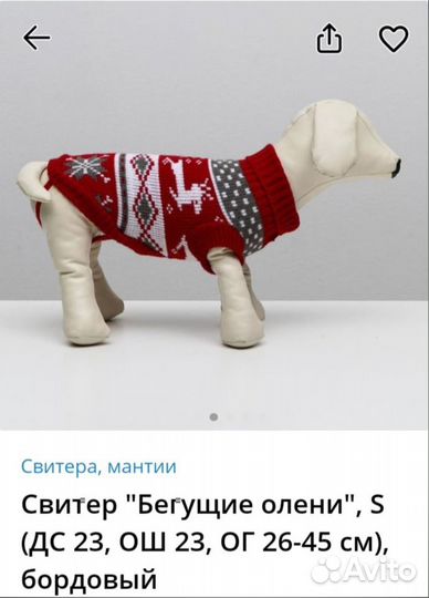 Одежда и обувь для собак